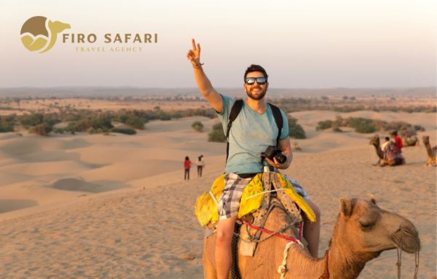 Camel rental in Hurghada