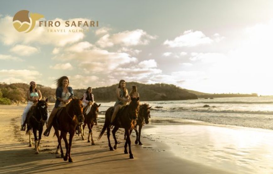 Horse rental in Hurghada