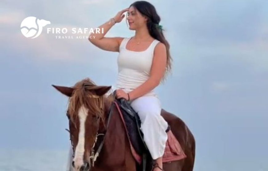 Horse riding and swimming trip