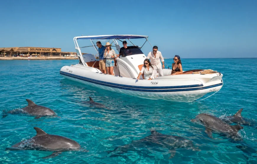 Private Speedboat to Dolphin House, Hurghada