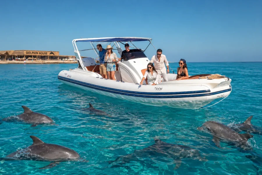 Private Speedboat to Dolphin House, Hurghada