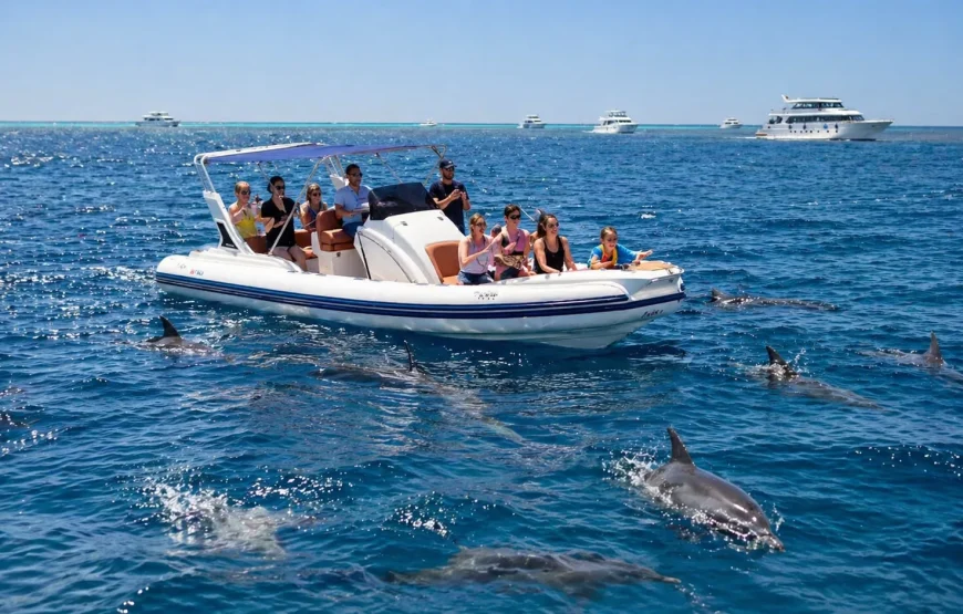 Private Speedboat to Dolphin House, Hurghada