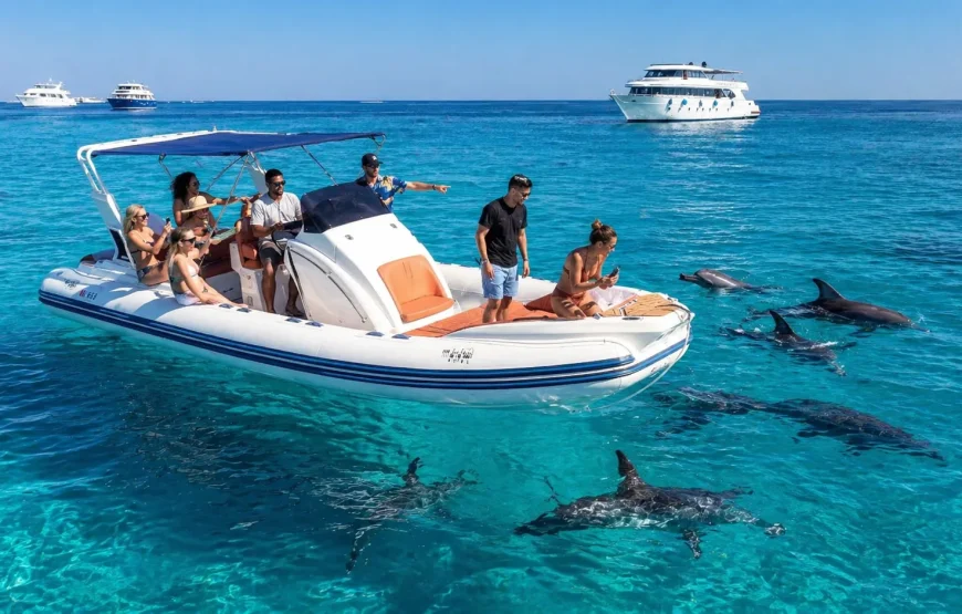 Private Speedboat to Dolphin House, Hurghada