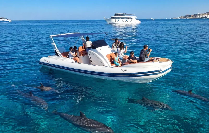 Private Speedboat to Dolphin House, Hurghada